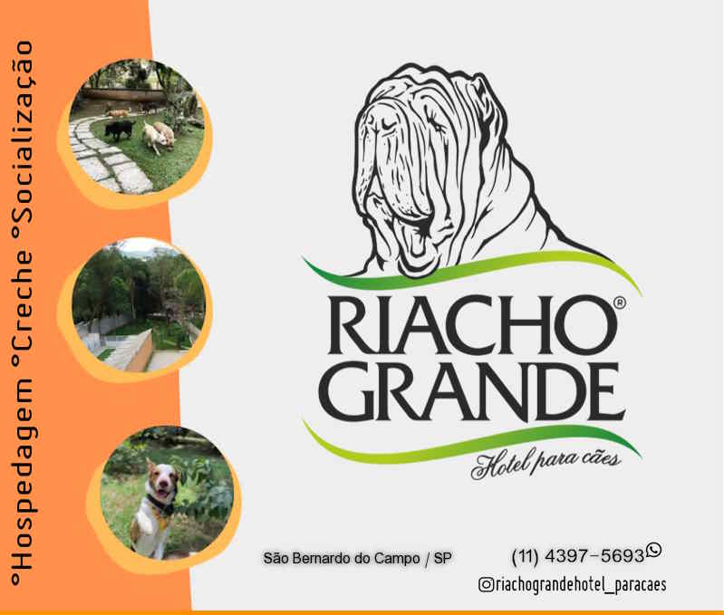 Riacho Grande Hotel Para Cães